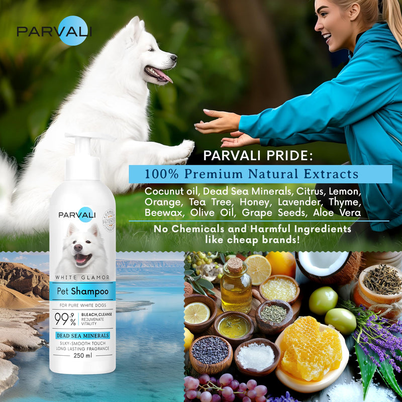 Natural Dead Sea White Glamor Pet Shampoo (250 ml, 8.45 fl oz). Gentle Bleaching for White Fur Breeds. Silky-Touch, Minerals Rich, Extra-Scented Formula for Gentle and Easy Application. Enjoy! White Fur Shampoo - BeesActive Australia
