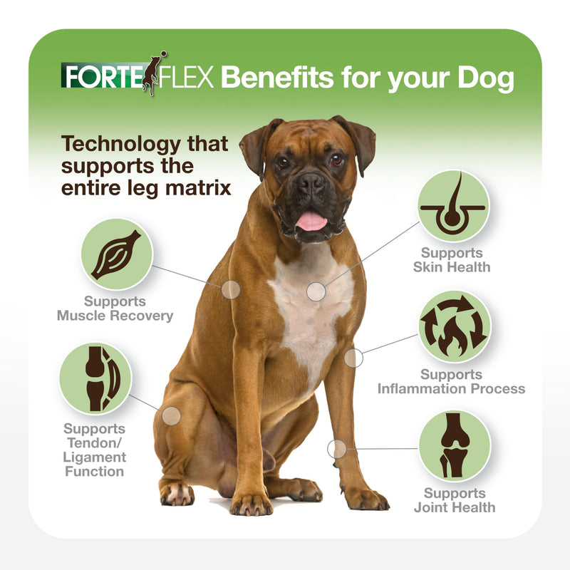 K9 Dog Chewable Hip and Joint Supplement - All Natural | Glucosamine, Chondroitin, Hyaluronic Acid, Collagen, Arto-Velox | Natural Anti-Inflammatory | Canine Joint Support - PawsPlanet Australia