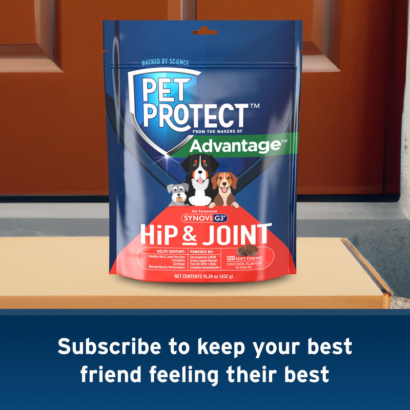 Pet Protect from The Makers of Advantage Vet-Formulated Hip & Joint Supplement for Dogs | 120 Chews - PawsPlanet Australia