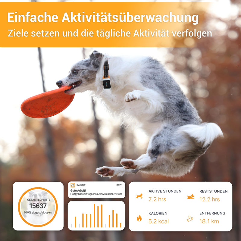 Pawfit 3 GPS tracker for dogs, 4G dog tracker, worldwide live tracking, remote voice commands, 3 intelligent alarms, activity tracking for dogs and cats over 3.5 kg, suitable for all collars - BeesActive Australia