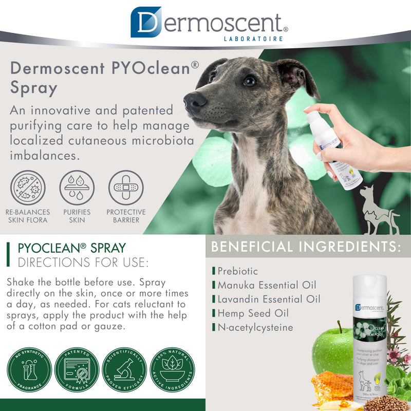 Dermoscent PYOclean Spray for Dogs and Cats - 50 ml - BeesActive Australia