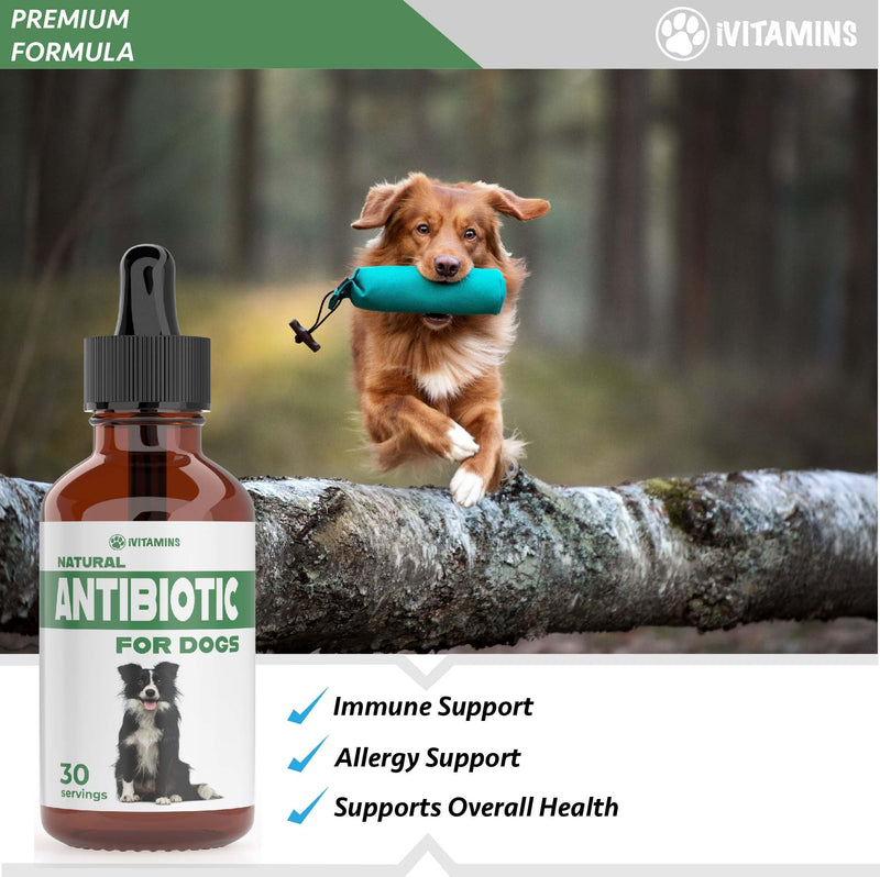 Natural Dog Antibiotics - Antibiotics for Dogs - Antibiotic for Dog - Yeast Infection Treatment for Dogs - Dog Yeast Infection Treatment - Itch Relief for Dogs - 1 fl oz - Bacon Flavor - PawsPlanet Australia