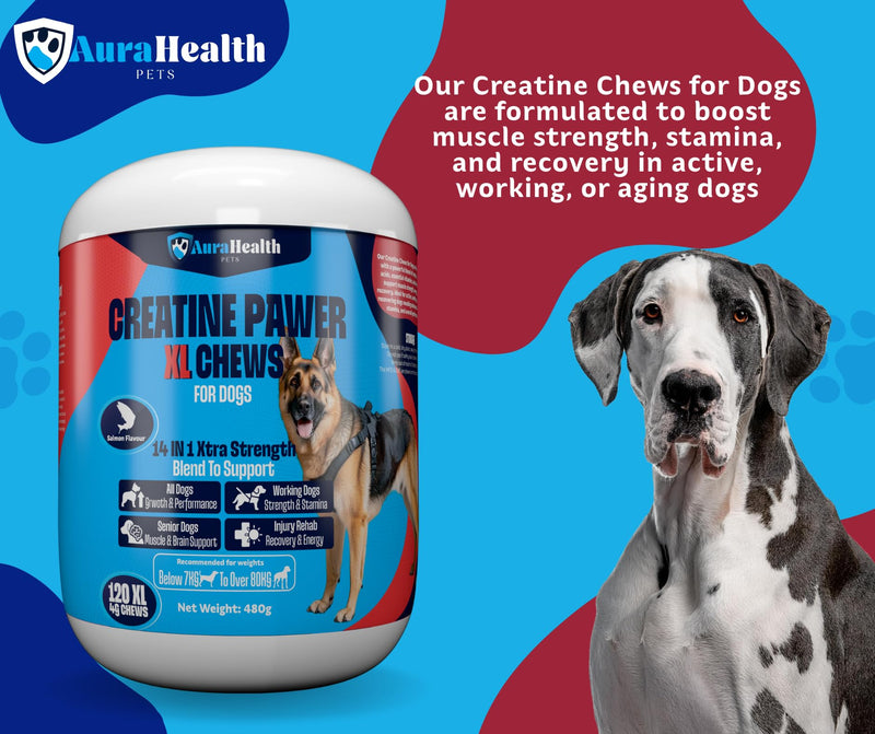 CREATINE PAWER 120 XL Chews up to 4-month supply for Working, Senior, & Injured Dogs 14-in-1 XtraStrength: Creatine, L-Carnitine & Taurine. Muscles, Performance, Energy & Recovery, Salmon Flavour