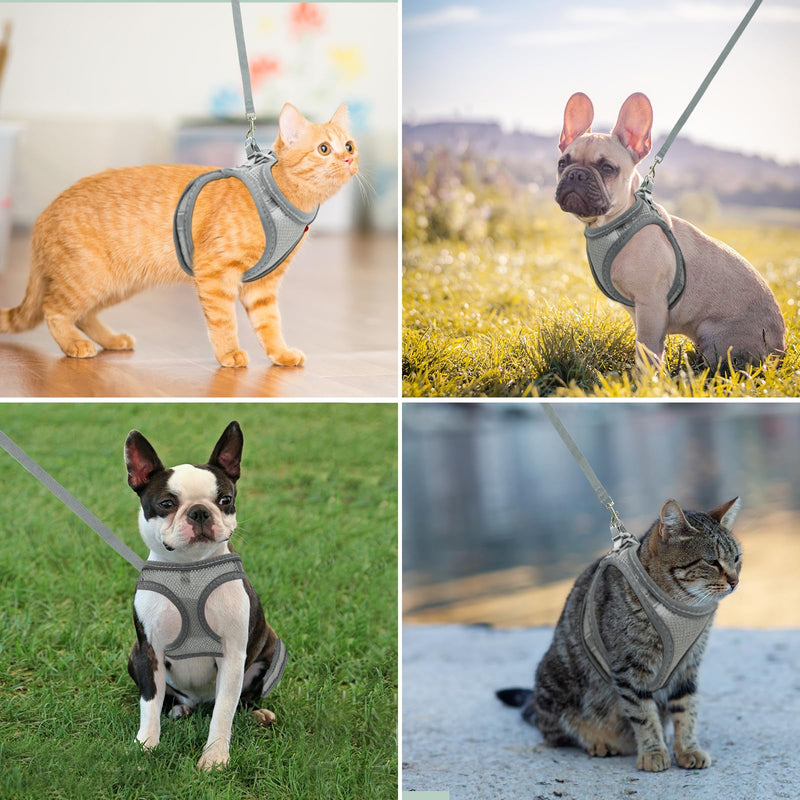 Breathable Cat Harness, Gray Reflective Harness Set, Adjustable Cat Harness Escape-Proof, Adjustable Cat Harness with Leash, Cat Harness Escape-Proof for Outdoors (XXS) XXS - BeesActive Australia