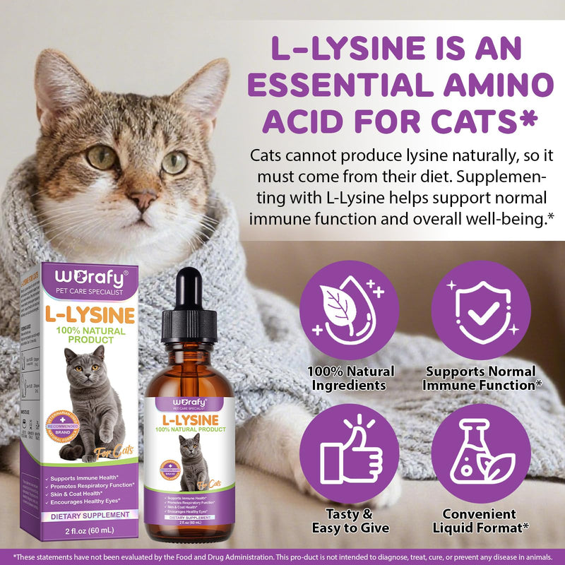 L-Lysine Drops for Cats 60ml - Cat Herbal Supplement for Immune Support, Respiratory & Eye Health - Daily Liquid Support for Cats with Natural Ingredients, Chicken Flavour - 2 fl.oz 2 fl oz