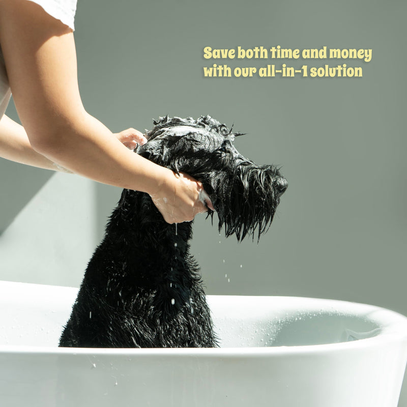 Islandpup 5-in-1 Organic Dog Shampoo and Conditioner | Hydrating, Deodorizing & Detangle | Natural Dog Shampoo made with Oatmeal & Coconut| Locks Moisture in The Skin for Lasting Hydration | 16 FL OZ - BeesActive Australia