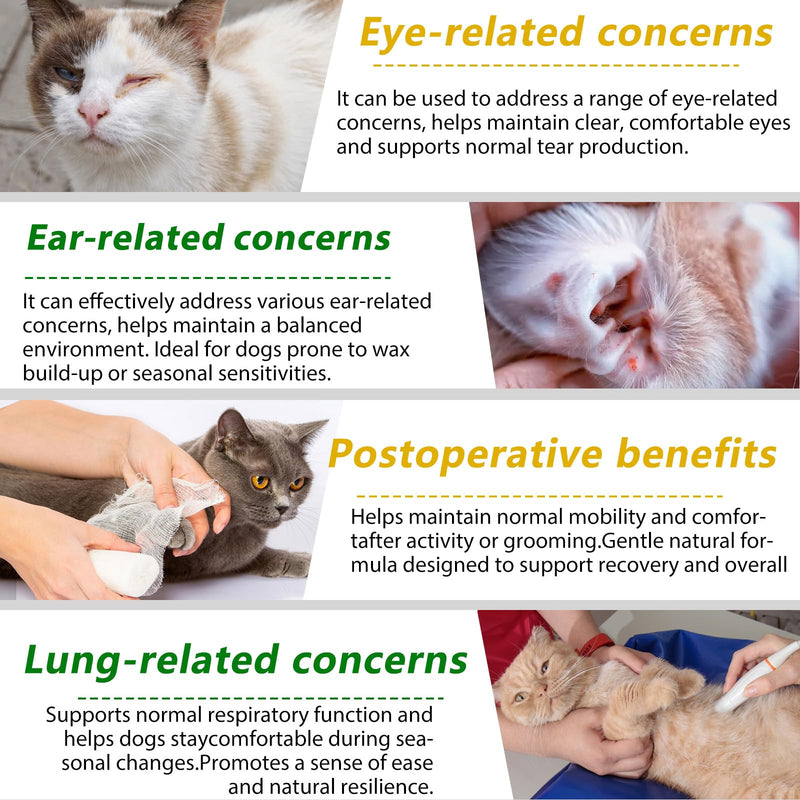 Antibiotics for Cats, Cat Antibiotics, Natural Herbal Drops for Infections, Supports Immunity & Itch Relief, Chicken Flavor 60ml