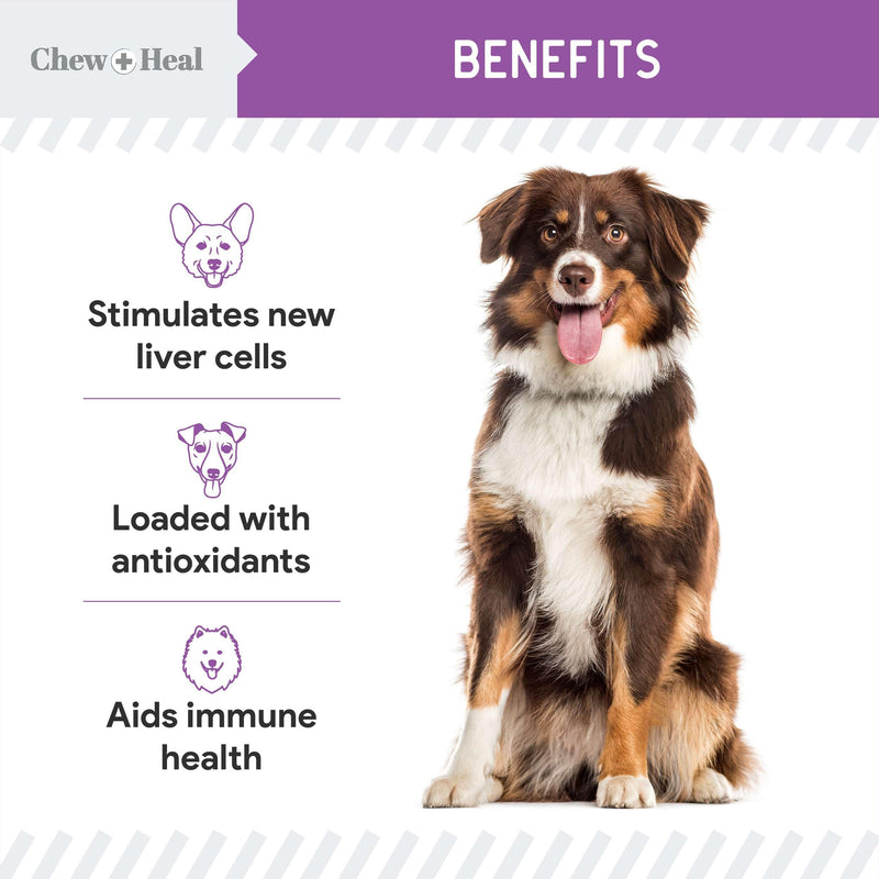Milk Thistle for Dogs Liver Support - 2 oz Liquid Milk Thistle Supplement for Kidney and Liver Support - with Wild Alaskan Salmon Oil and Moringa Oil - Made in USA - PawsPlanet Australia