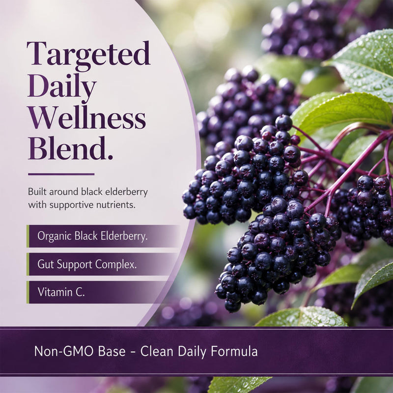 Elderberry Capsules with Vitamin C & Zinc, 1200mg Black Elderberry Extract | Vegan, Non-GMO, 60 Capsules, Supplement for Daily Wellness, Antioxidant & Digestive Support