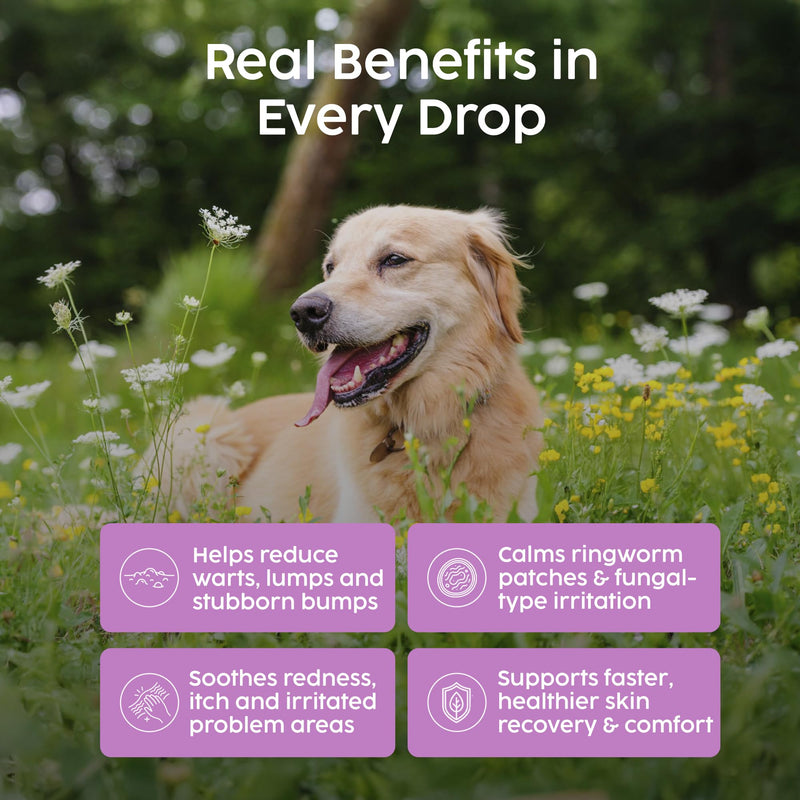 Antifungal Thuja Cream for Dogs & Cats - Dog Wart Removal Treatment, Ringworm Irritation Skin Treatment for Dogs, Verruca, Sarcoid & Abnormal Skin Growth, Fully Natural, UK Made | 150g