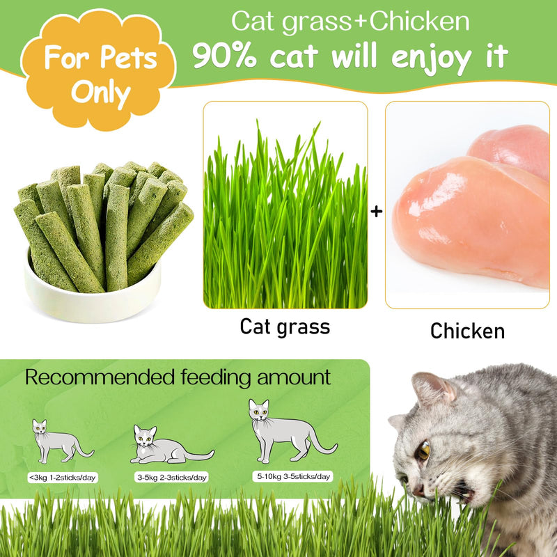 HavenJanny 50g Cat Grass Teething Stick, Freezed Drying Cat Grass Sticks Snacks for Cats, Edible Cat Treats for Teeth Cleaning and Hairball Removal - BeesActive Australia