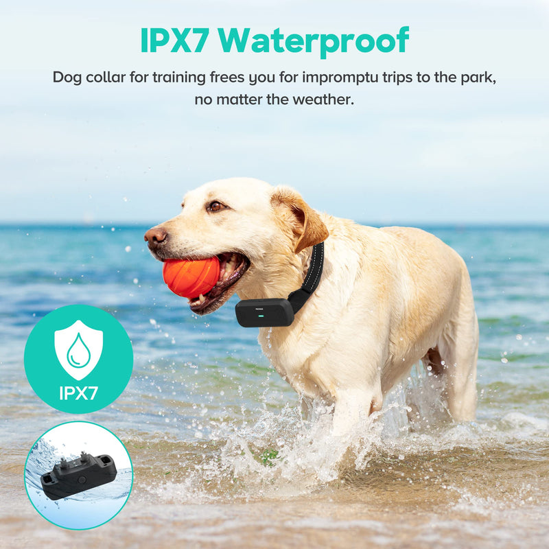 Dog Training Collar with Remote, Shock Collar for Dogs with Vibration and Beep Modes, Rechargeable Transmitter with Security Lock, Waterproof Collar, 99 Adjustable Levels – All Breeds, Sizes PE-18 - BeesActive Australia