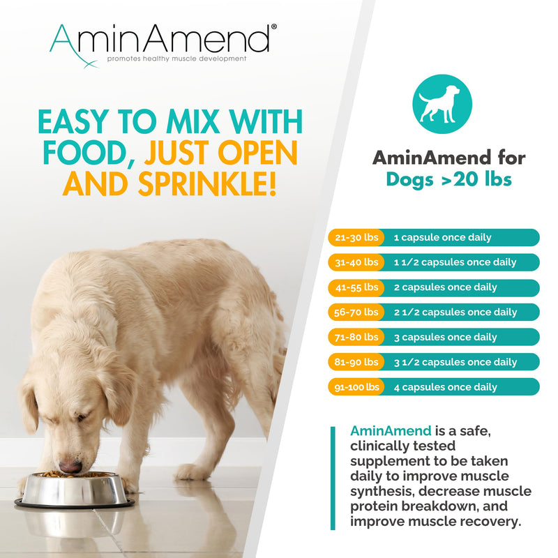 Muscle Support Dog Supplements for Large Breed (21lbs+) with CaHMB & Vitamin D3 – Supports Strength, Mobility & Daily Activity for All Ages & Senior Dog – (30 Capsules) 430 mg