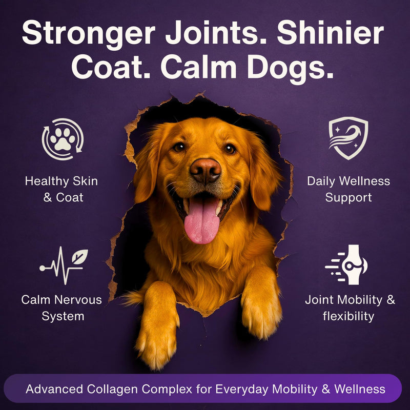Dr. Flex Collagen Powder for Dogs | 300g Bovine & Marine Collagen | Joint & Mobility Support for All Dogs | High Strength Vitamin B Complex (B1 B2 B3 B5 B9 B12) | Aids Skin, Coat Health & Digestion Collagen Complex