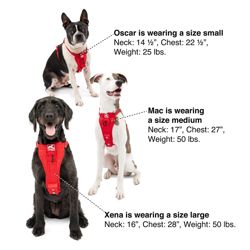 Kurgo Tru-Fit Enhanced Strength Dog Harness - Crash Tested Car Safety Harness for Dogs, No Pull Dog Harness, Includes Pet Safety Seat Belt (Black, Large) Black Large (Pack of 1) - BeesActive Australia