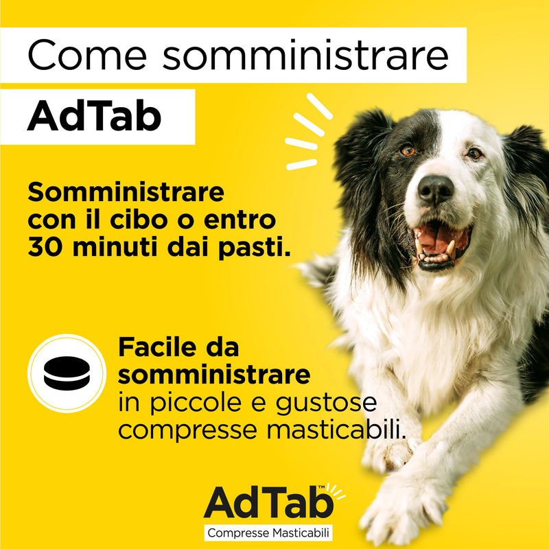 AdTab chewable tablets for dogs from 2.5 - 5.5 kg - 3 tablets dog 2.5kg - 5.5kg - BeesActive Australia
