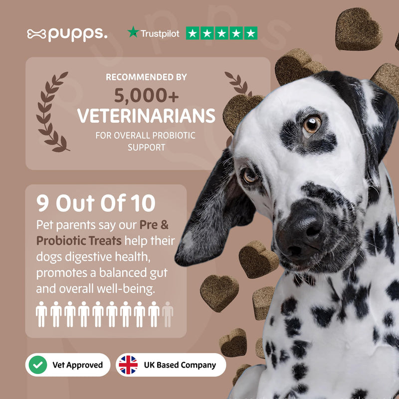 Pupps Pre & Probiotic Dog Treats – 120 Gut Health Chews | 4.5 Billion CFUs with Pumpkin & Digestive Enzymes | For Sensitive Stomachs, Digestion & Immunity | Duck Flavour | Vet Approved, UK Made 120 x Chews