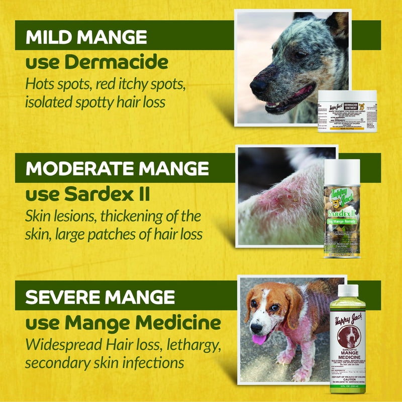 HAPPY JACK Mange Medicine & Treatment for Dogs & Horses - Brings Soothing Itch Relief to Severe Mange, Fungi, Allergies, Eczema & Most Dog Skin Irritation (8 oz) - PawsPlanet Australia