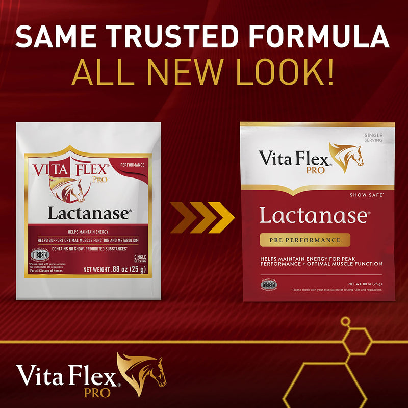 Pro Horse Lactanase Pre Performance Supplement, Show Safe, Single Serve Packet - BeesActive Australia