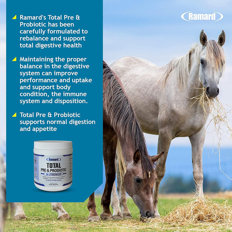 Total Prebiotic & Probiotic Equine Formula - Natural Digestive Supplement for Horses Optimal Gut Health, Nutrient Absorption, Foal Support Pro & Pre Biotics for Livestocks and Horse 8.5 oz Jar 8.5 oz, Jar - BeesActive Australia