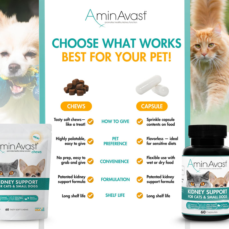 AminAvast Small Dogs & Cat Kidney Support - Promotes Healthy Kidney Support in Cats & Small Dogs - 300mg (60 Chews) 300mg (60 Chews)