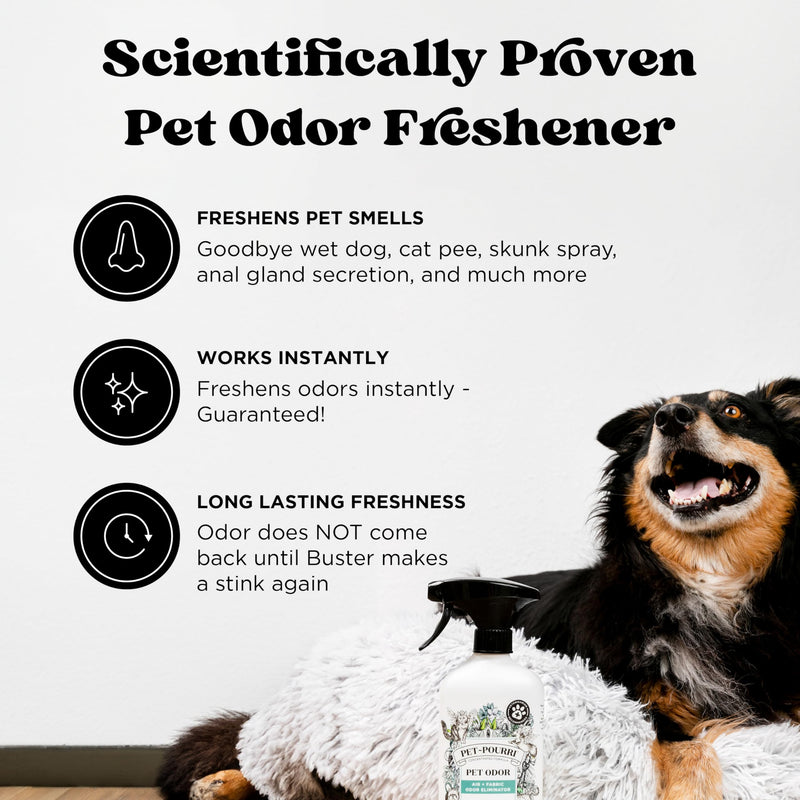 Pet-Pourri Pet Odor Air + Fabric Odor Freshener Spray, Pawsitively Fresh, 16 Fl Oz - BeesActive Australia