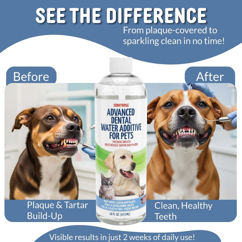 Dog Dental Water Additive – Dog Breath Freshener & Teeth Cleaner, Eliminates Bad Breath, Controls Plaque & Tartar, Gum Health Support, No Toothpaste or Brushing, Tasteless & Odorless