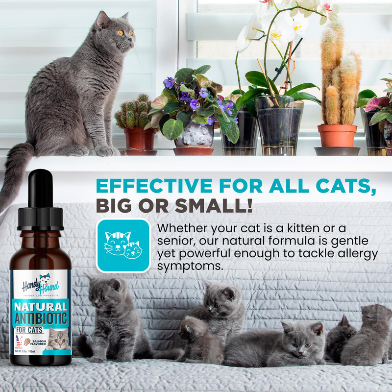 Antibiotics for Cats - Cat Allergy Relief for Cats - Perfect for Cat Sneezing Treatment and Cold Remedy for Cats - PawsPlanet Australia
