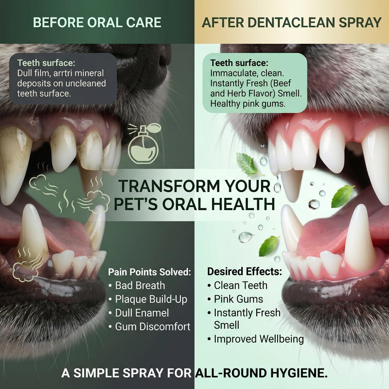 Dentaclean Spray for Dogs & Cats, Paw Guardian Dental Spray, Natural No-Brush Oral Care, Freshens Breath, Tartar Remover & Supports Gum Health, Pet Denta Clean Spray, 100ml