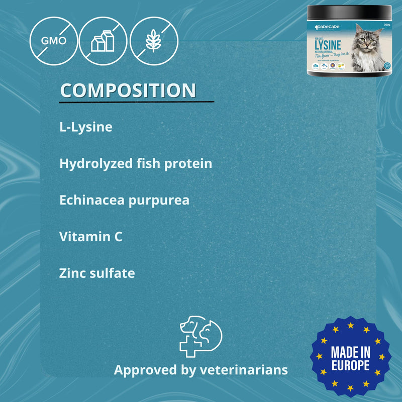 L-Lysine for Cats Powder 300g – Immune Support with Echinacea, Vitamin C & Zinc – Fish Flavour – Helps Respiratory Health & Cat Cold – Suitable for Kittens, Adult & Senior Cats