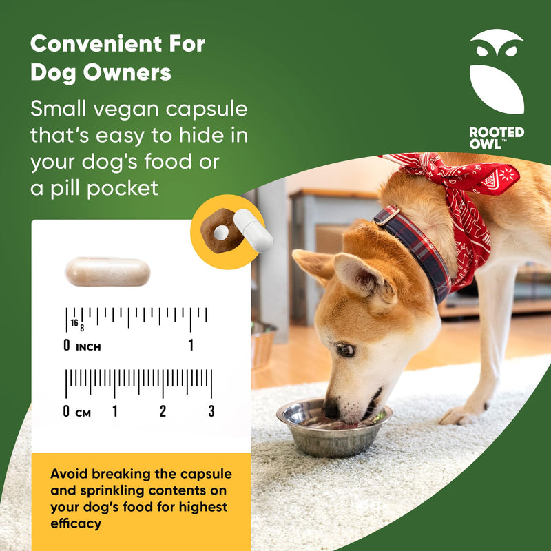 Urinary Support - Echinacea and Cranberry Supplement for Dogs - Dog UTI Prevention - 60/ct - BeesActive Australia