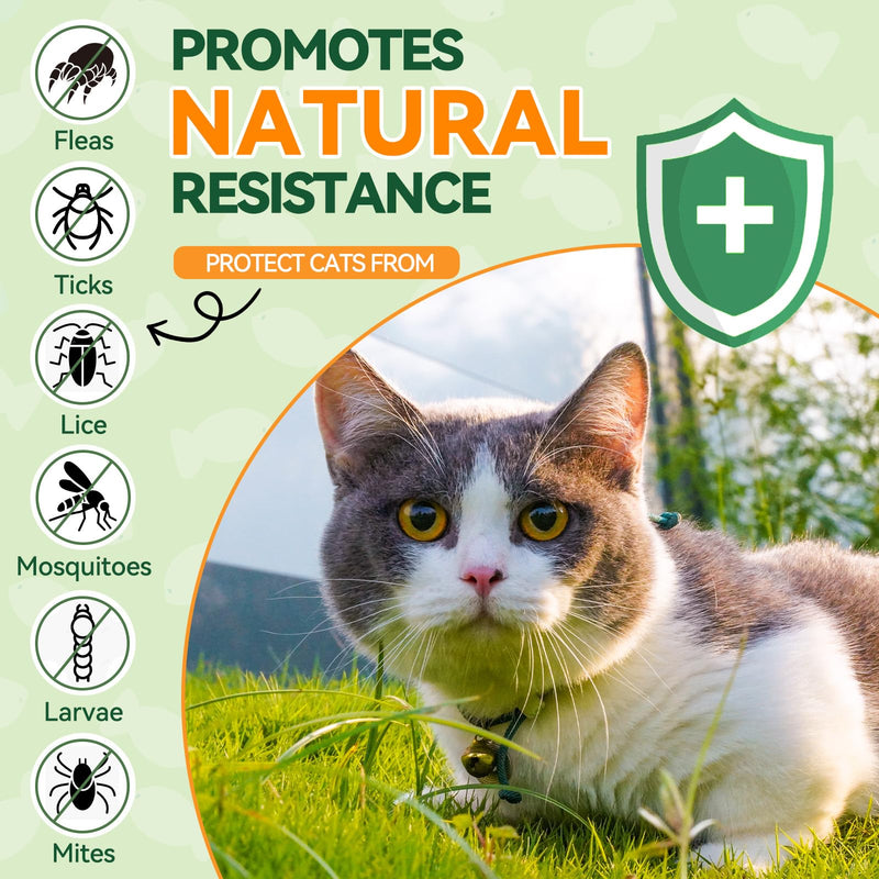 Cat Flea Chews + Dog Flea Drops Bundle – 200 Chicken-Flavored Chews for Cats + Topical Herbal Drops for Dogs – Natural Flea & Tick Prevention for Multi-Pet Homes
