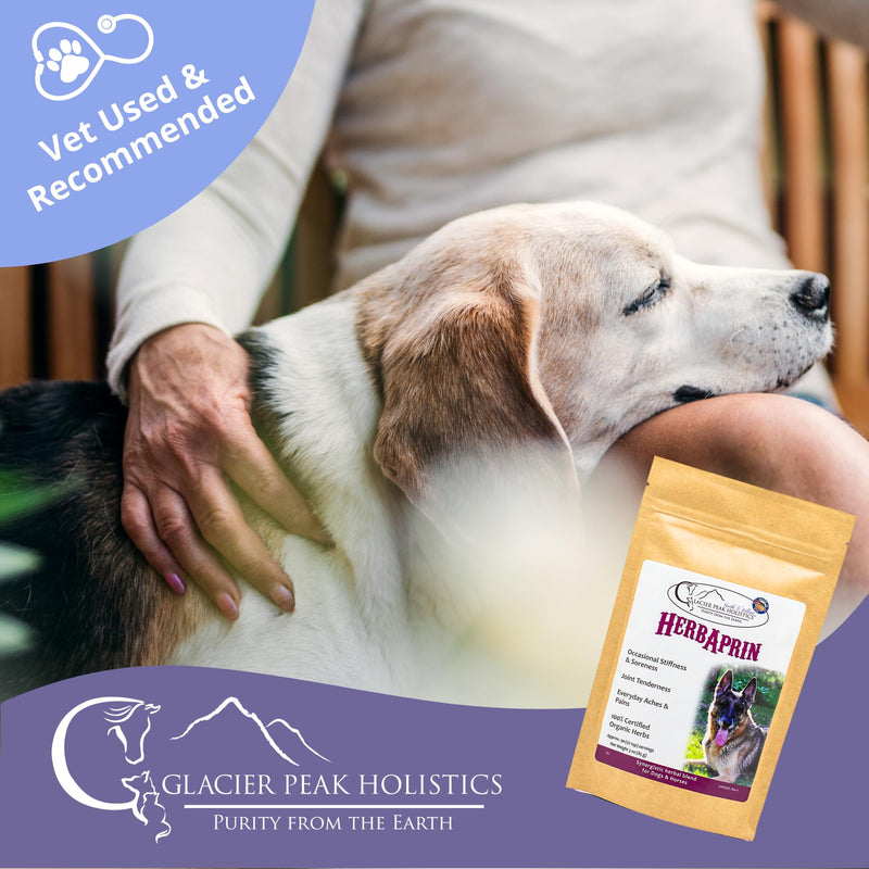 Glacier Peak Holistics HerbAprin - Natural Pain Relief for Dogs, Organic Herb Blend for Arthritis, Aches, Pains, Inflammation, Mobility Support, and Hip & Joint Discomfort - 3oz (90 Servings) - PawsPlanet Australia