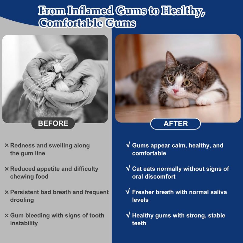 Oral Health for Cats, Cat Gingivitis Treatment, Reduce Gum Inflammation, Redness & Pain, Combats Gum Disease, Natural Plant-Based Active Formula, Cat Oral Care, Gums Health Treatment