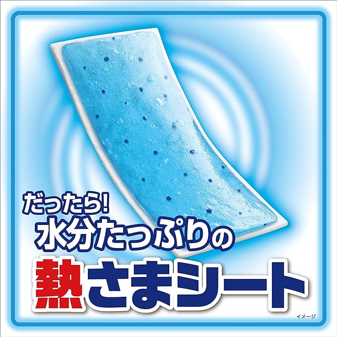 Kobayashi Pharmaceutical Hot Sheet for Adults, Cooling Sheet, Gentle on Skin, Low Acidity, 16 Sheets x 4 Packs - BeesActive Australia
