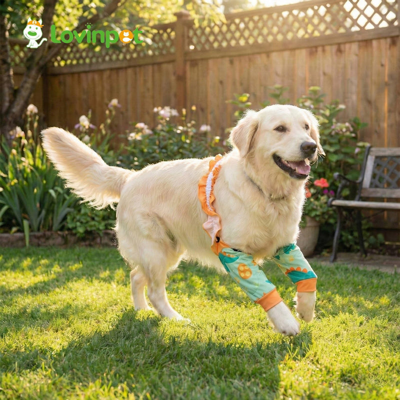 LovinPet Front Leg Sleeves for Medium and Large Dogs, 4-Way Stretch Elbow Protection, Anti-Lick Recovery, Warmth and Callus Prevention, Pair, Dinosaur Print, Orange Green,XXL Green Orange XX-Large
