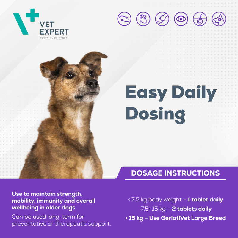 Vet Expert Geriativet Senior Dog Supplement | Enhances Energy Metabolism, Joint Health, and Immune Function | HMB-Ca, Omega-6, β-Glucan, L-Carnitine, Glucosamine, Lutein, and Vitamin E | 45 Capsules