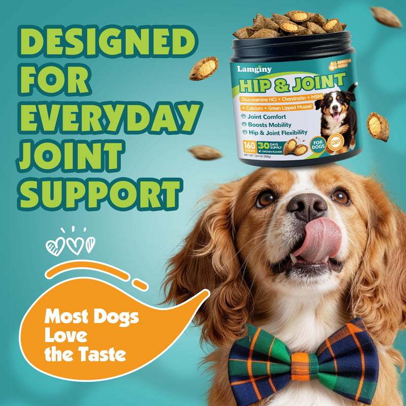 Lysine Supplement for Cat & Hip and Joint Chews for Dogs