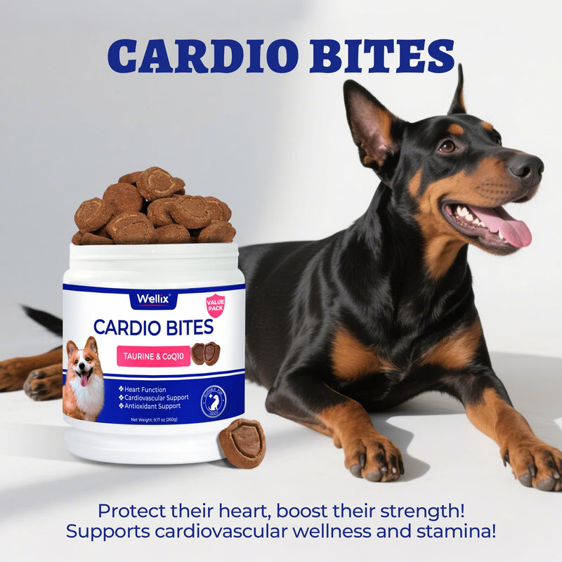 Wellix 260g Cardio Taurine for Dogs - Heart Supplements for Dog Chews with CoQ10,Fish Oil,L-Carnitine - Senior Heart Health and Cardiovascular & Antioxidant Support Cardio (Taurine)