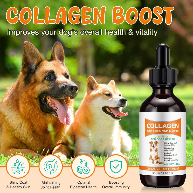 Liquid Collagen for Dogs | Joint Supplement for Dogs Skin & Coat | Itchy Relief & Digestive Health Support | Dog Collagen with Biotin, MSM & Ginger | 60ml Dog Supplements for Hip & Joint Care (2) 2