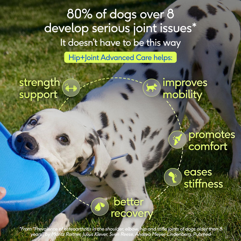 Native Pet Hip & Joint Advanced Care Dog Joint Supplement Powder for Mobility & Movement Support, Joint Supplement for Dogs with HMB, UC-II Collagen, Green Lipped Mussel & Hyaluronic Acid – 30 Scoops 30 Servings
