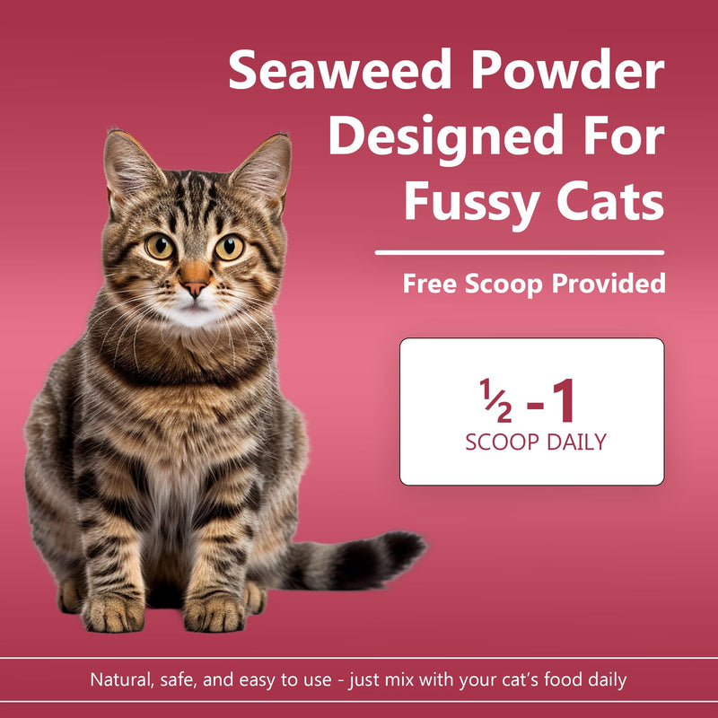 PLAQUE OUT for Fussy Cats 200g Pot - Plaque Off Remover - 100% Natural and Organic Seaweed Powder for Cats - Cat Teeth Cleaning, Cat Plaque Removal, Cat Dental Care, Bad Breath & Gum Care