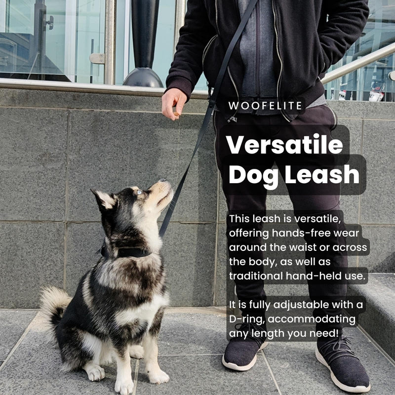 Hands-Free Waterproof Dog Leash, Adjustable Waist & Crossbody Dog Leash for Running, Walking & Hiking (Black, 8 FT) Black - BeesActive Australia