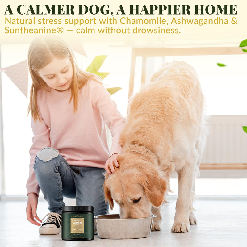 Barrow & Hound – Advanced Calming Chews for Dogs – 120 Soft Chews with Chamomile, Valerian Root, L-Theanine & Melatonin – Turkey Flavor – Supports Relaxation & Composure