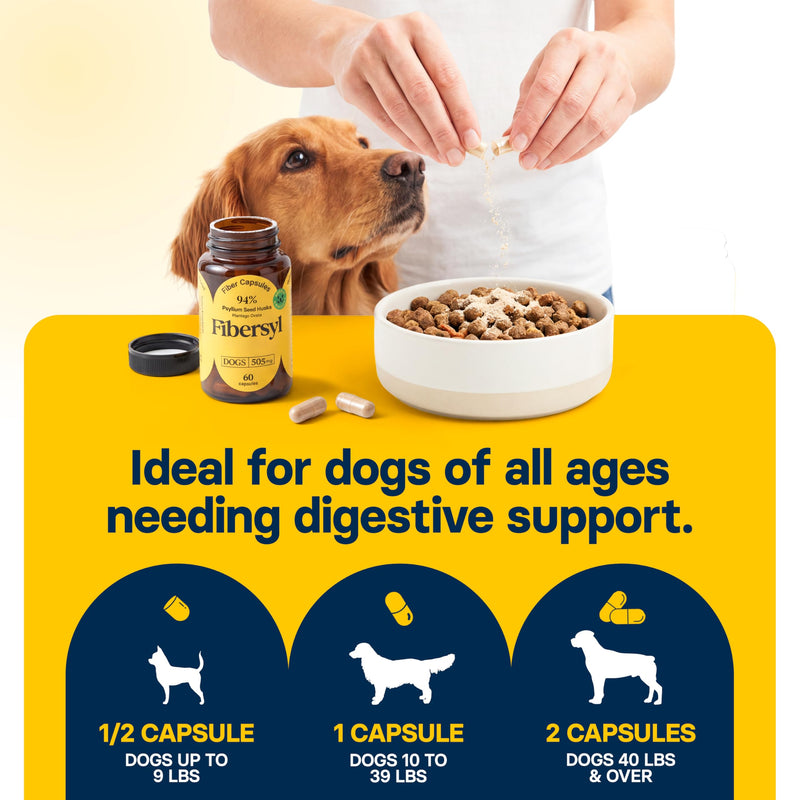 FiberSyl Prebiotics for Dogs Digestive Health - Dog Fiber Supplements for Constipation Relief & Support - Psyllium Husk Seed for Dog' Digestion Problems - Dog Stool Hardener - 60 Capsules