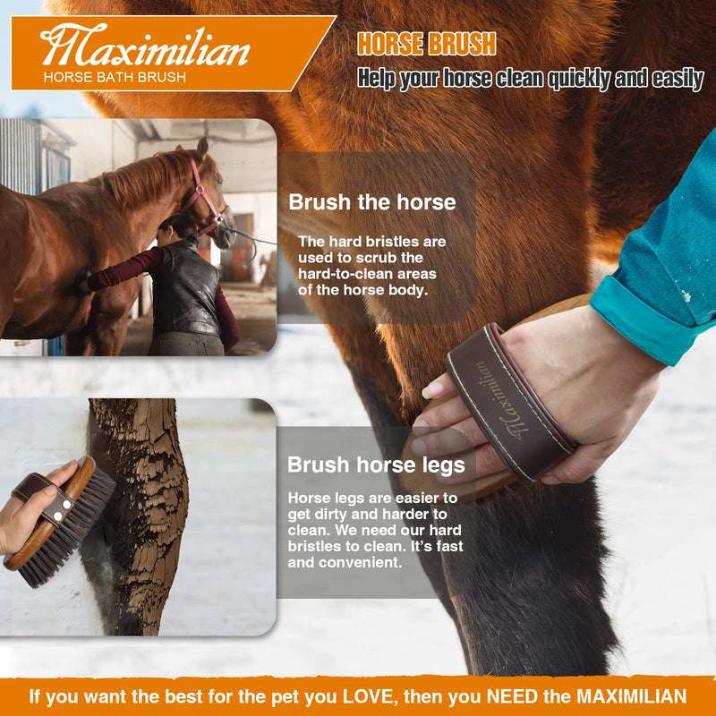 MAXIMILIAN World Class Handmade Equine Stiff Body Horse Brush. Professional Equine Grooming Tools. Effortlessly Removes Mud, Sweat and Dirt from Your Horses Hair. brown - BeesActive Australia