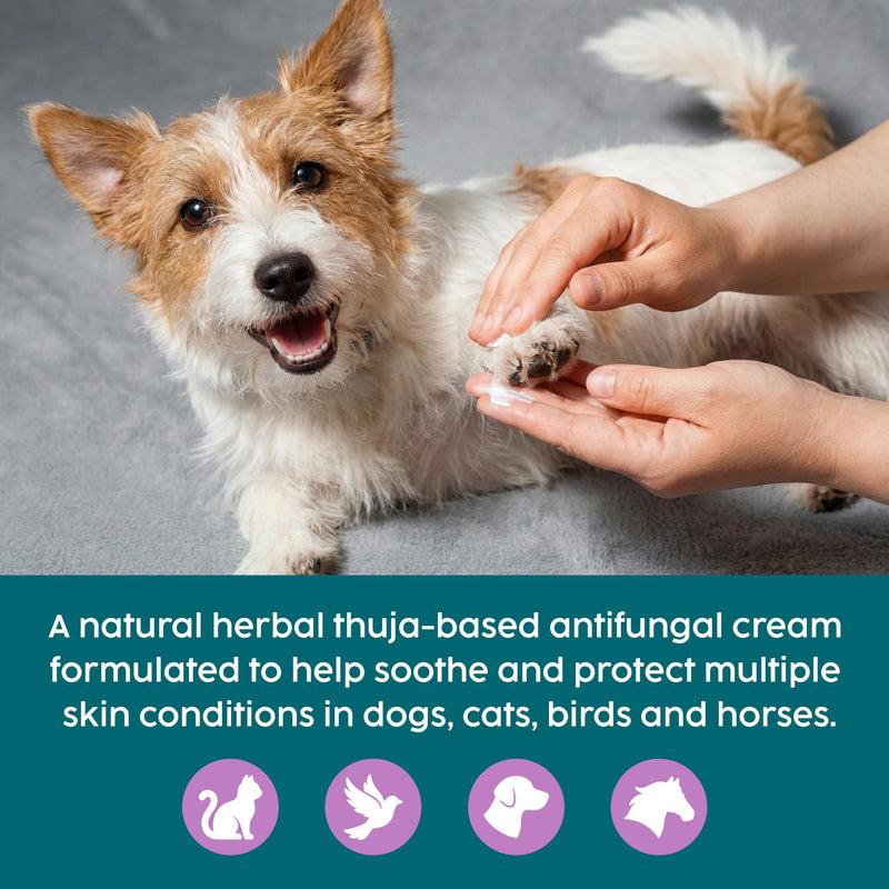 Antifungal Thuja Cream for Dogs & Cats - Dog Wart Removal Treatment, Ringworm Irritation Skin Treatment for Dogs, Verruca, Sarcoid & Abnormal Skin Growth, Fully Natural, UK Made | 150g
