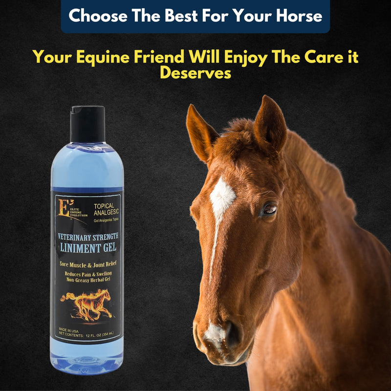 E3 Joint and Muscle Lin Non-Greasy Herbal Gel with Mint – 12 oz Cooling Botanical Equine Gel for Post-Workout Massage and Daily Comfort – Fast Absorbing, No Residue