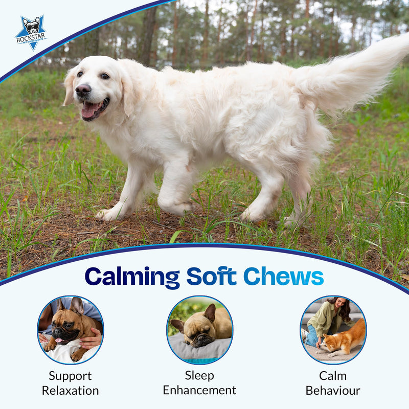 Calming Soft Chews for Dogs | Duck Flavour | Stress & Anxiety Relief, Promotes Relaxation, Barking Relief & Restful Sleep-Perfect for Small, Medium & Large Dogs.