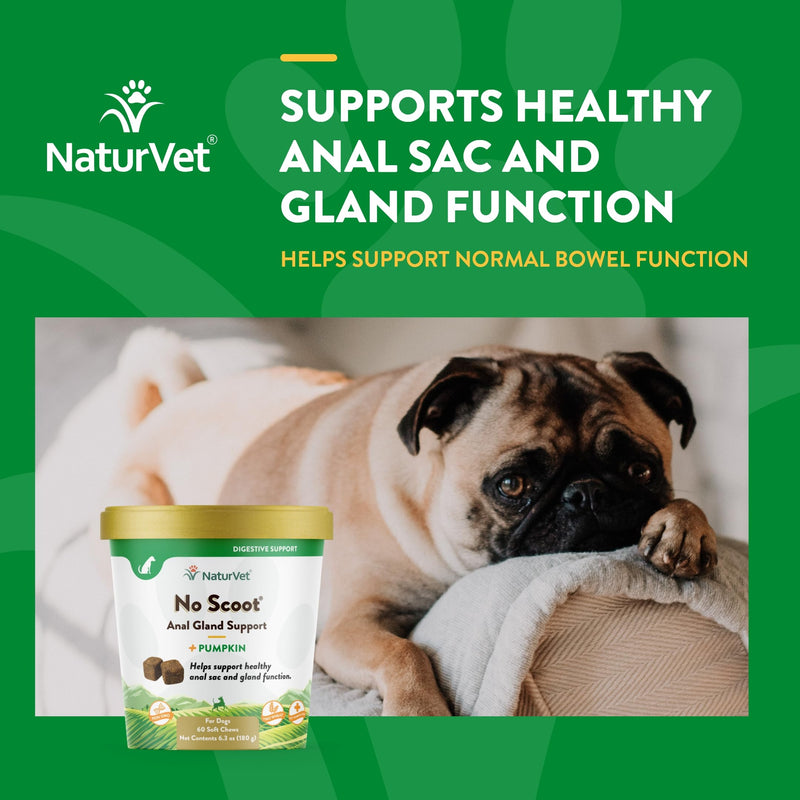 NaturVet - No Scoot for Dogs - 60 Soft Chews - Plus Pumpkin - Supports Healthy Anal Gland & Bowel Function - Enhanced with Beet Pulp & Psyllium Husk - BeesActive Australia
